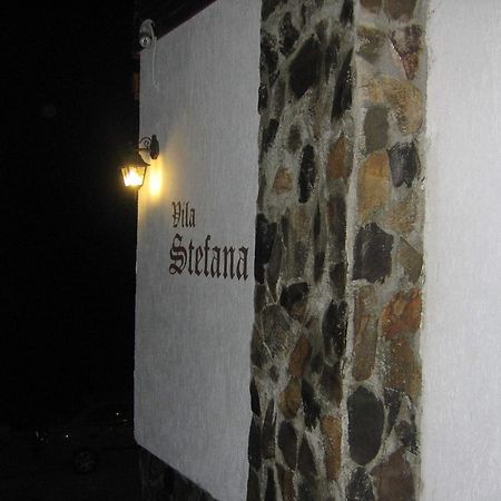 Vila Stefana Păltiniş Dış mekan fotoğraf