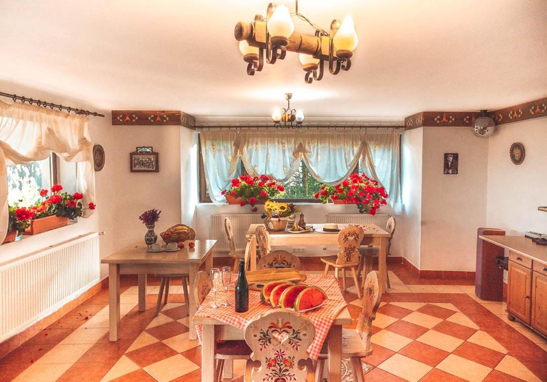 Vila Stefana Păltiniş Dış mekan fotoğraf