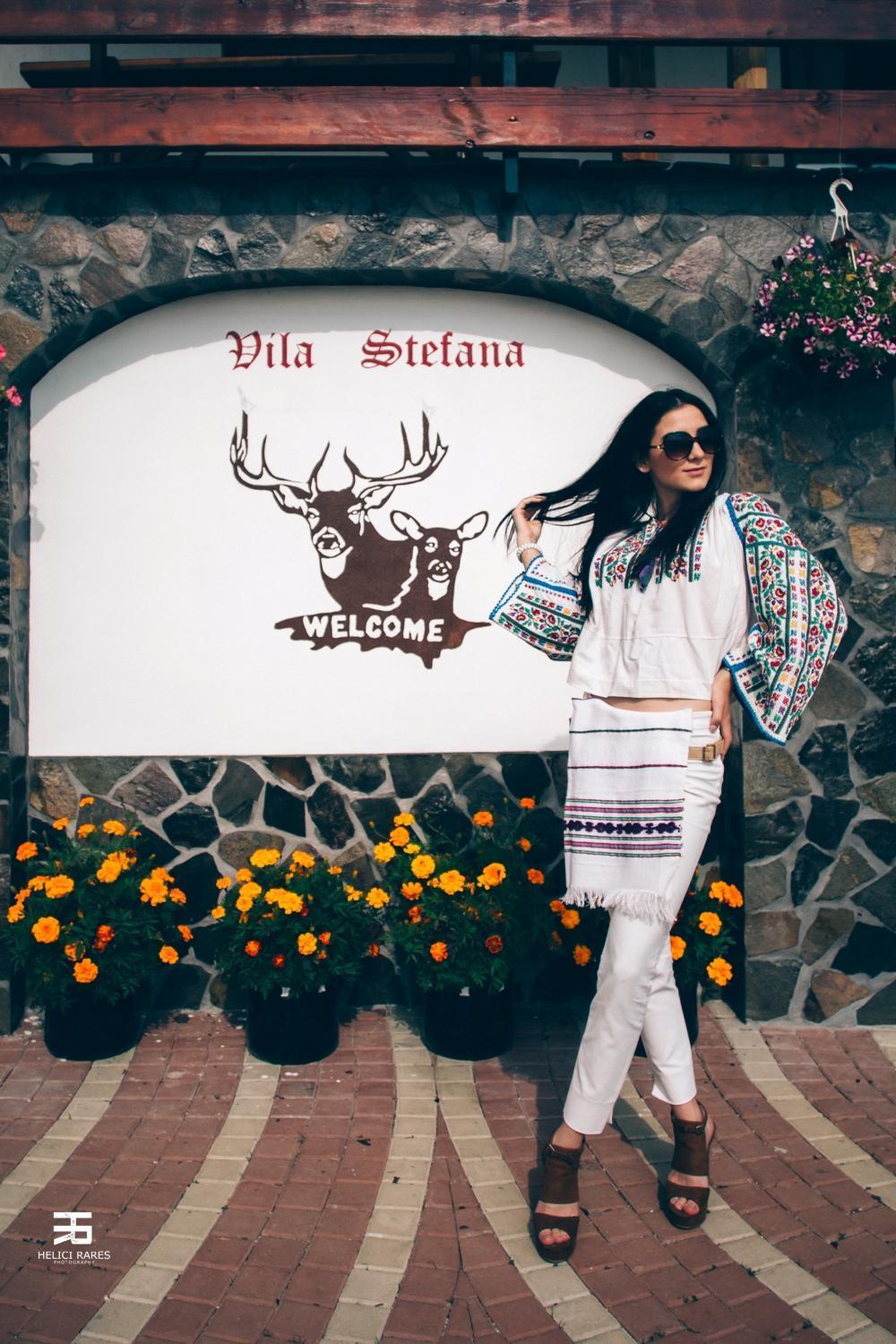 Vila Stefana Păltiniş Dış mekan fotoğraf